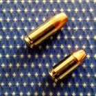 Sensible Gun Control 1890369_641211209279643_2058722558_o
